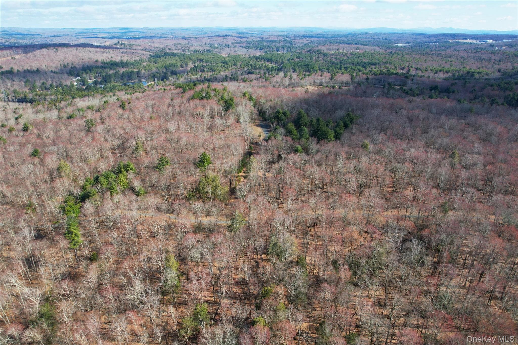 118 Hilltop Road thumbnail 48