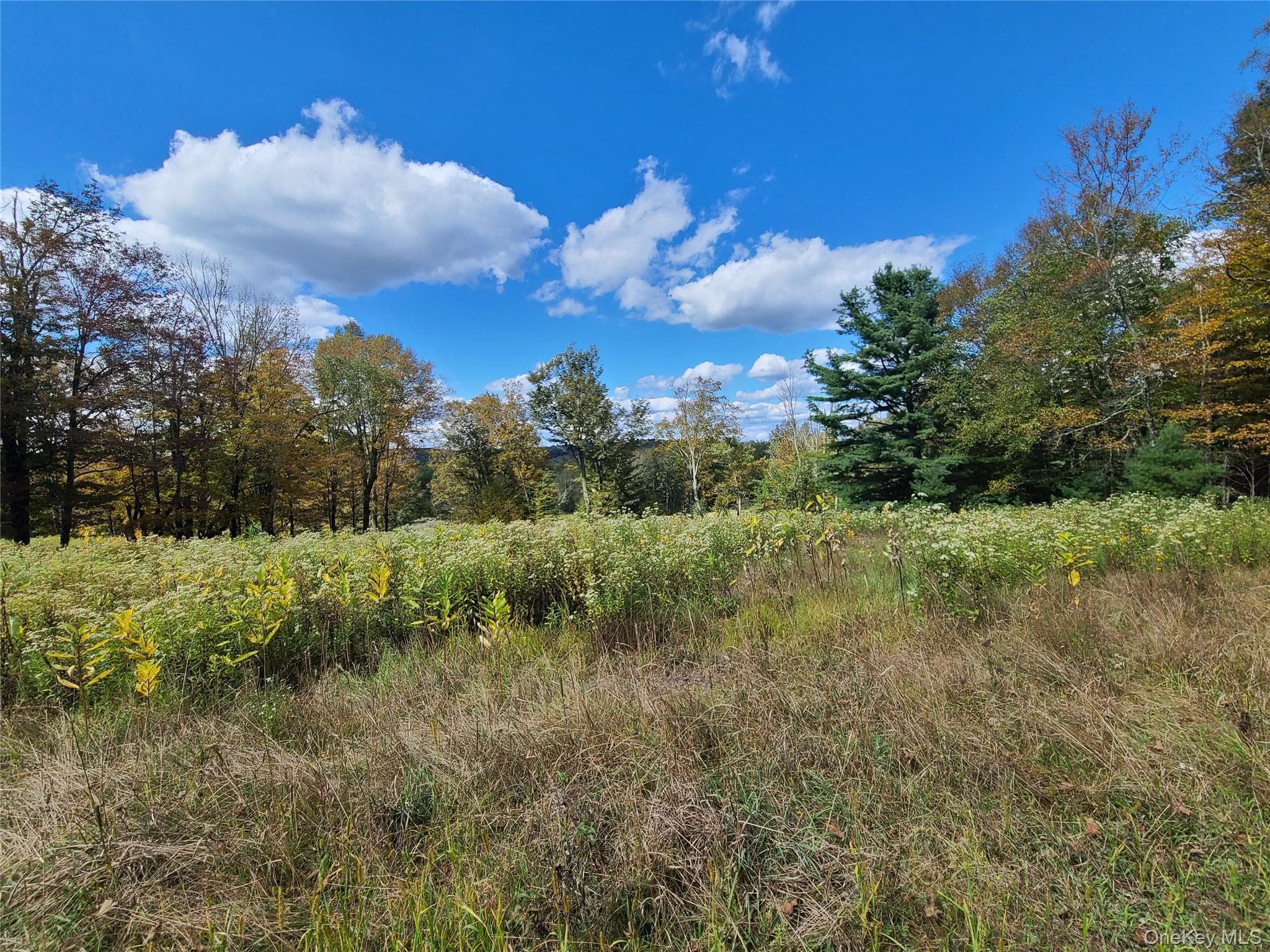 118 Hilltop Road thumbnail 20