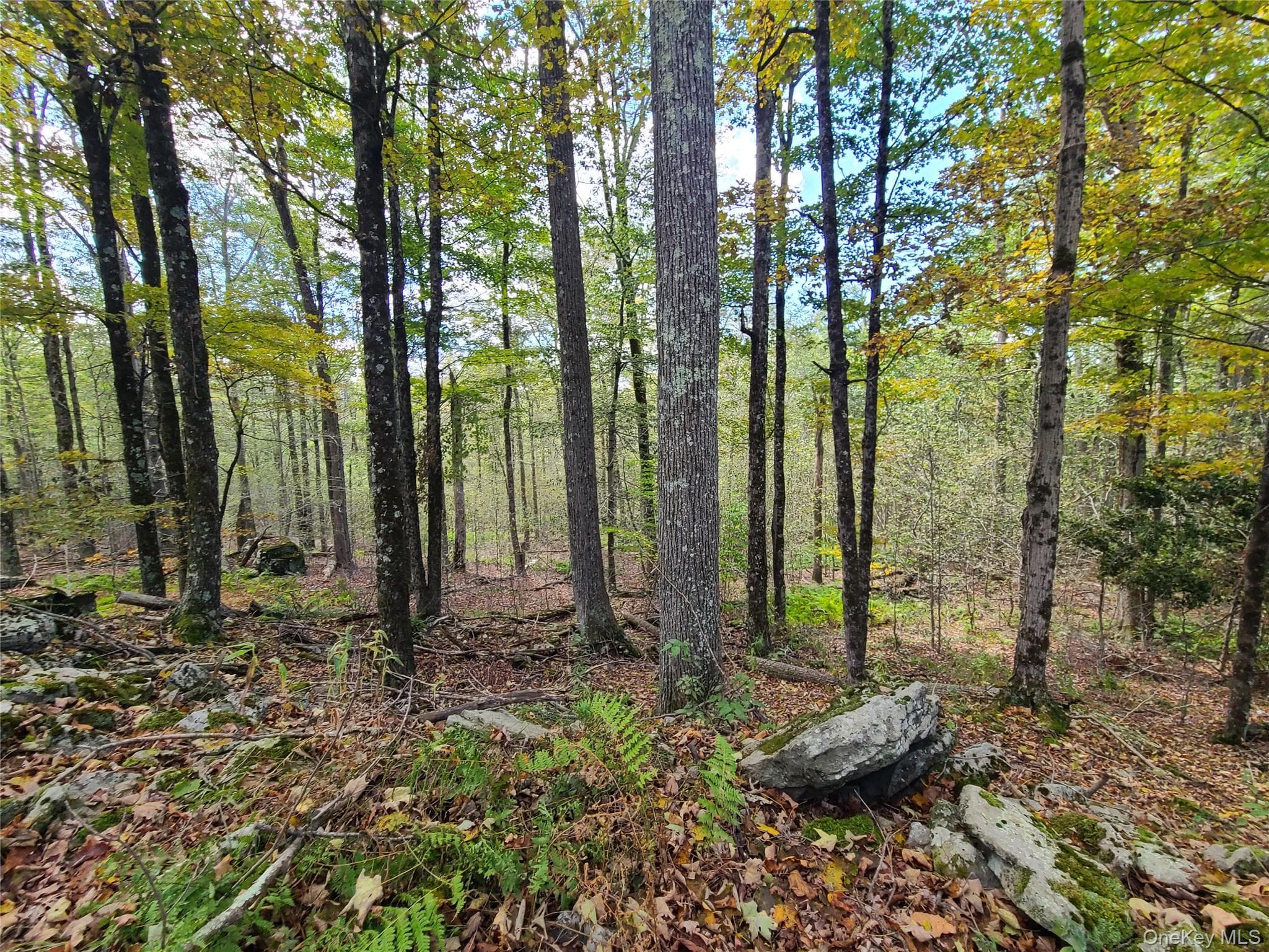 118 Hilltop Road thumbnail 14