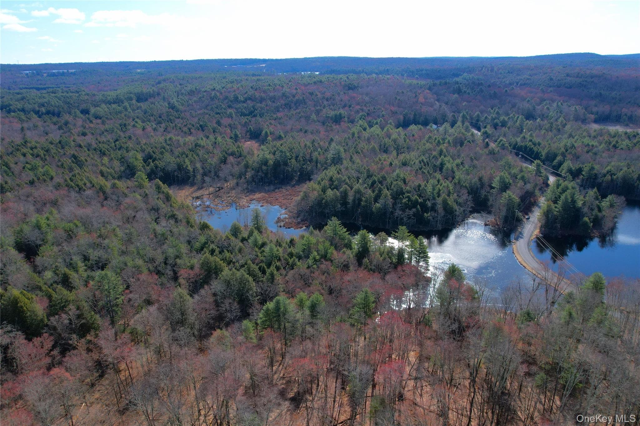 118 Hilltop Road thumbnail 41