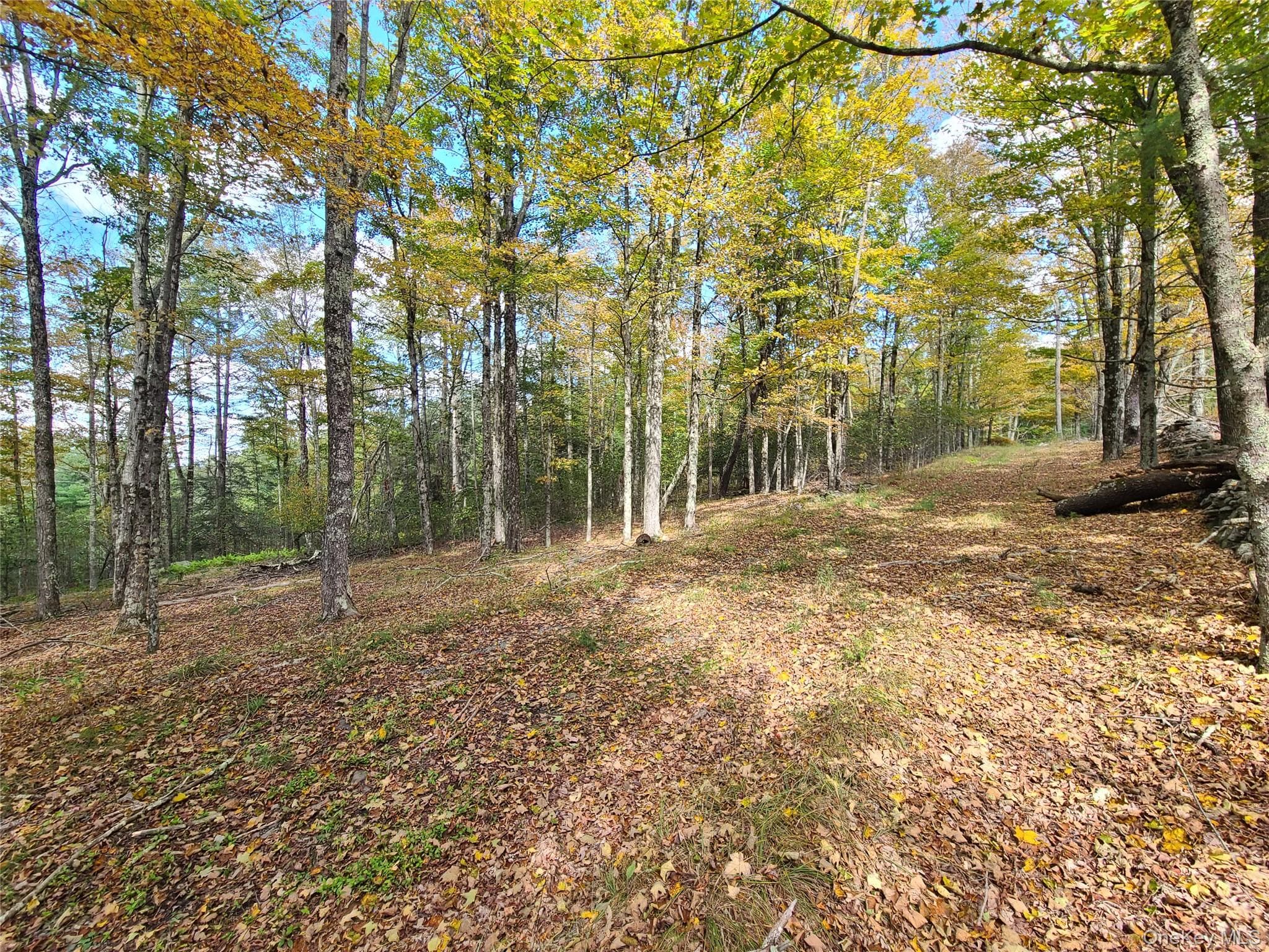 118 Hilltop Road thumbnail 25