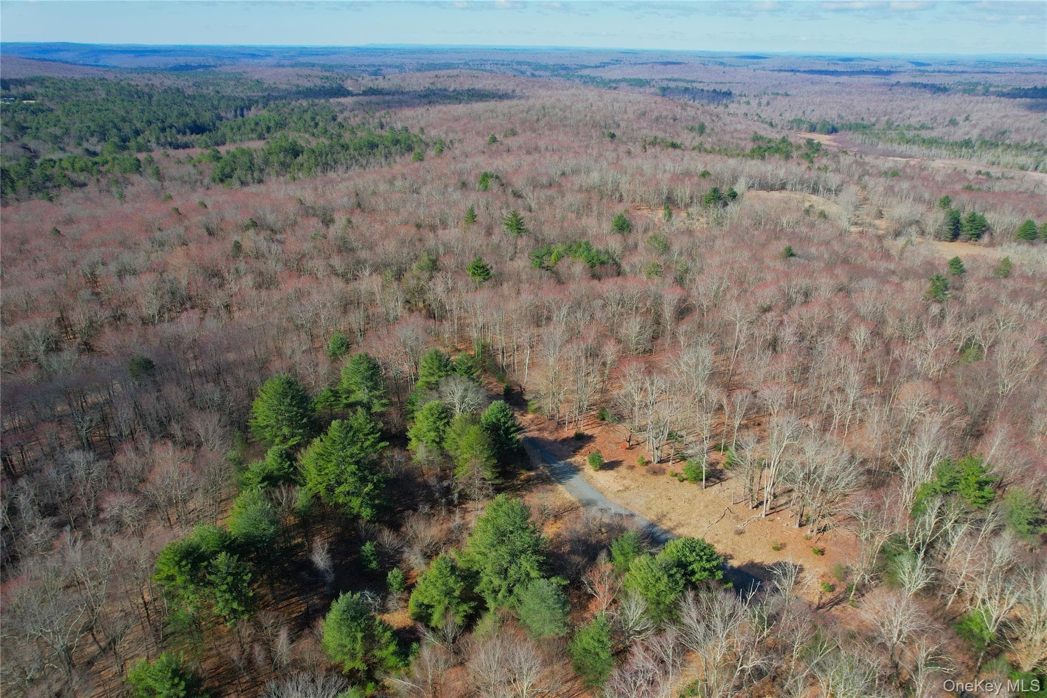 118 Hilltop Road thumbnail 45