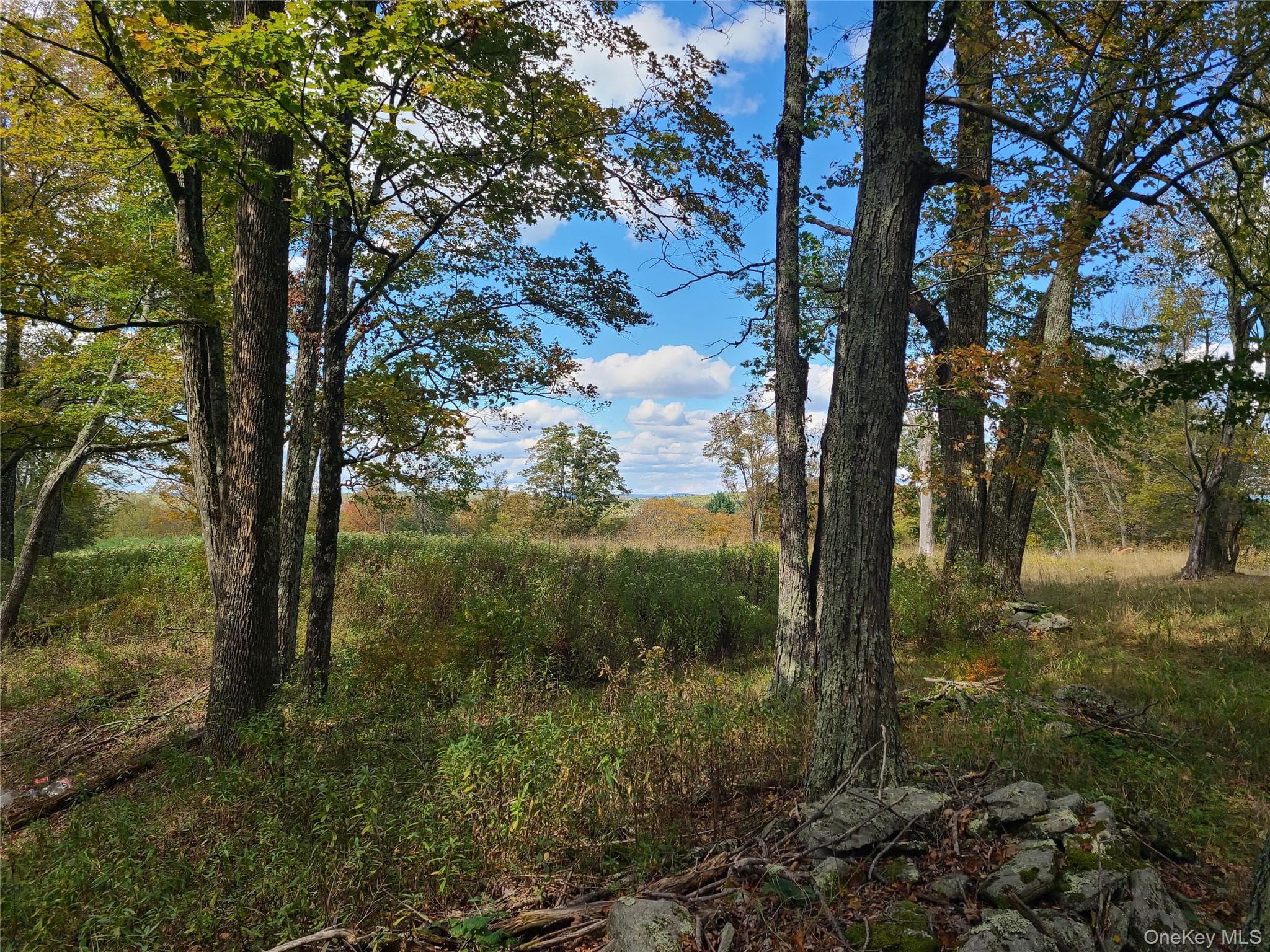 118 Hilltop Road thumbnail 15