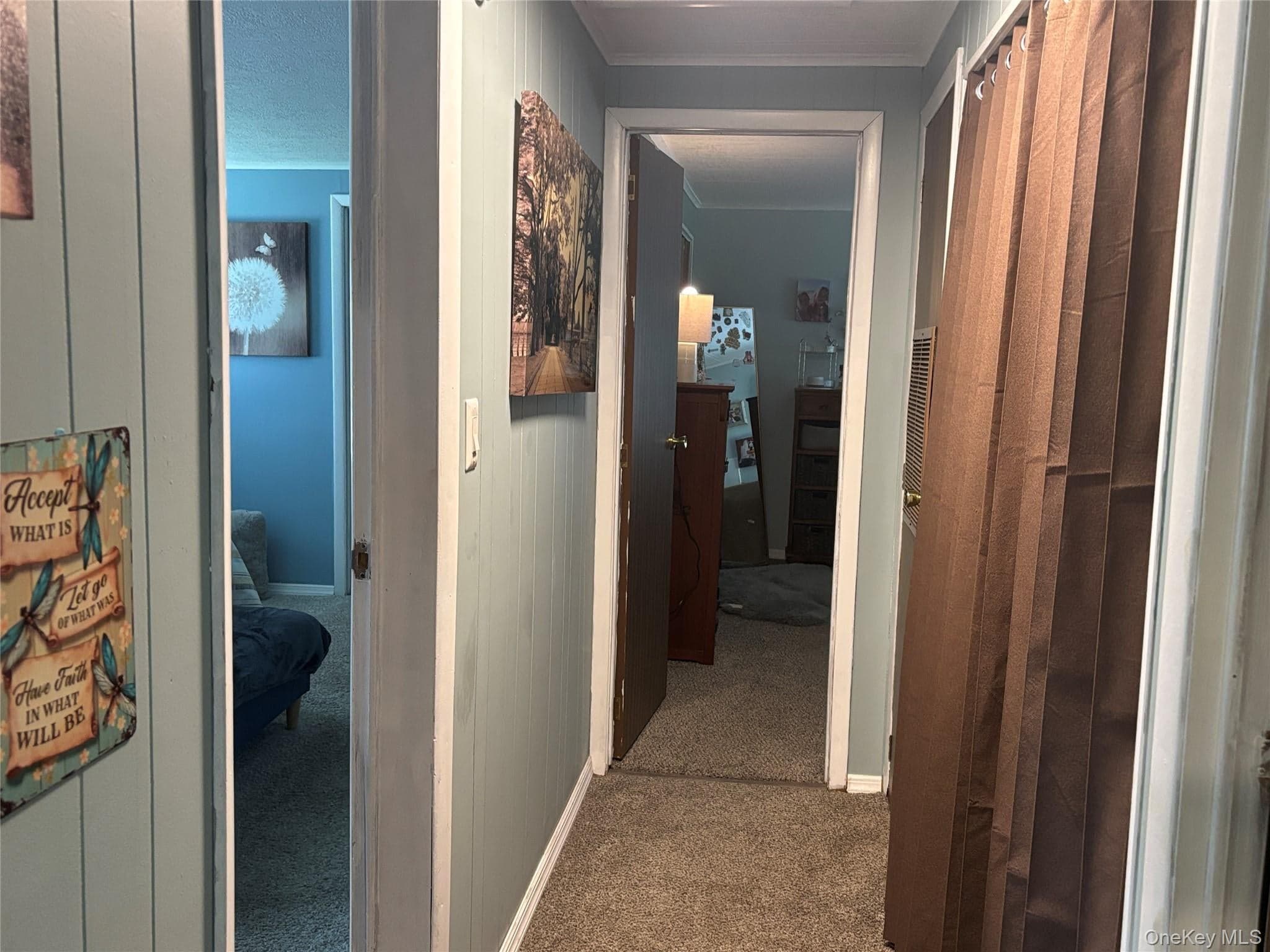 1661 Old Country Road Unit: 454 thumbnail 26