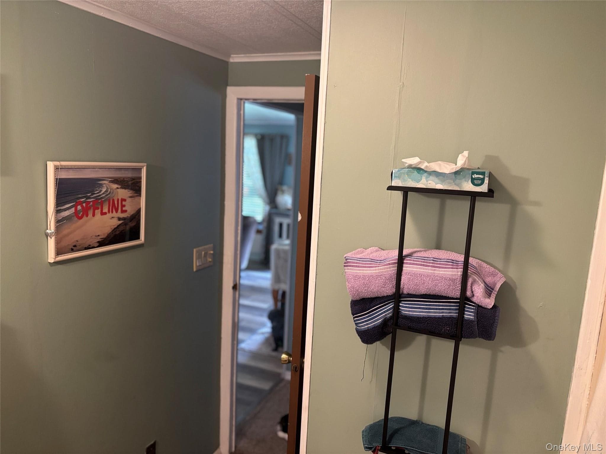 1661 Old Country Road Unit: 454 thumbnail 43