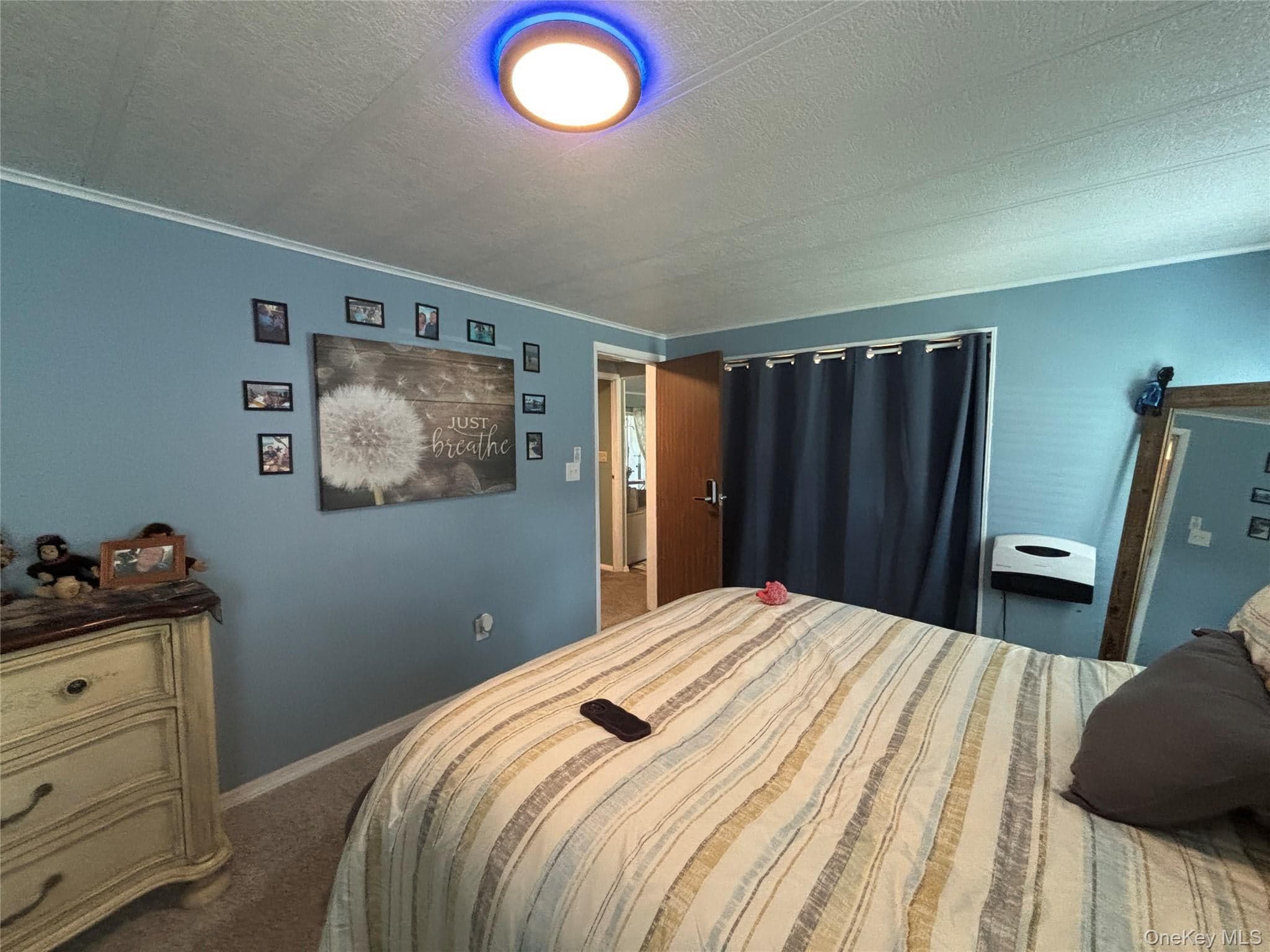 1661 Old Country Road Unit: 454 thumbnail 35