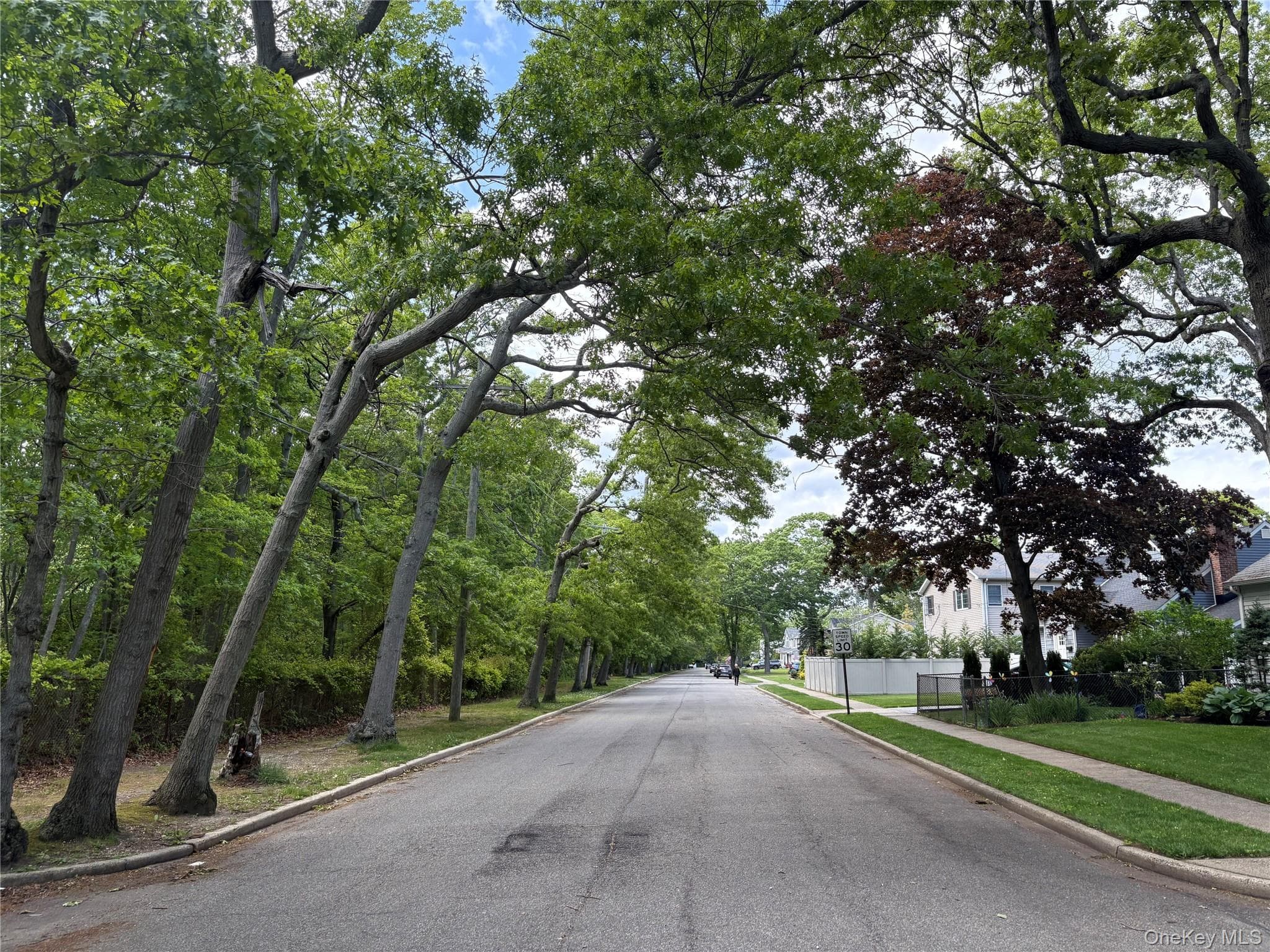 66 Euclid Avenue thumbnail 11