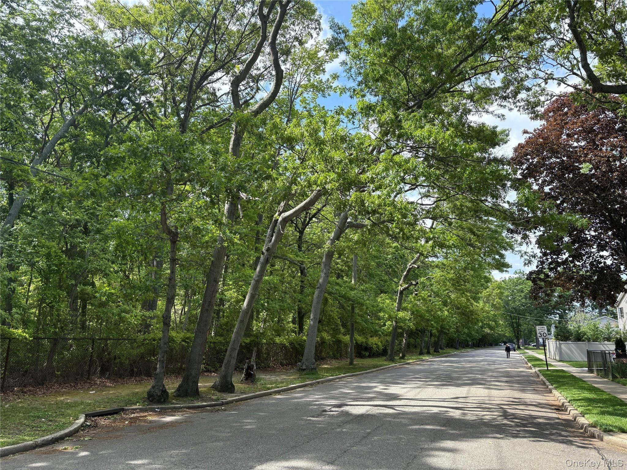66 Euclid Avenue thumbnail 10