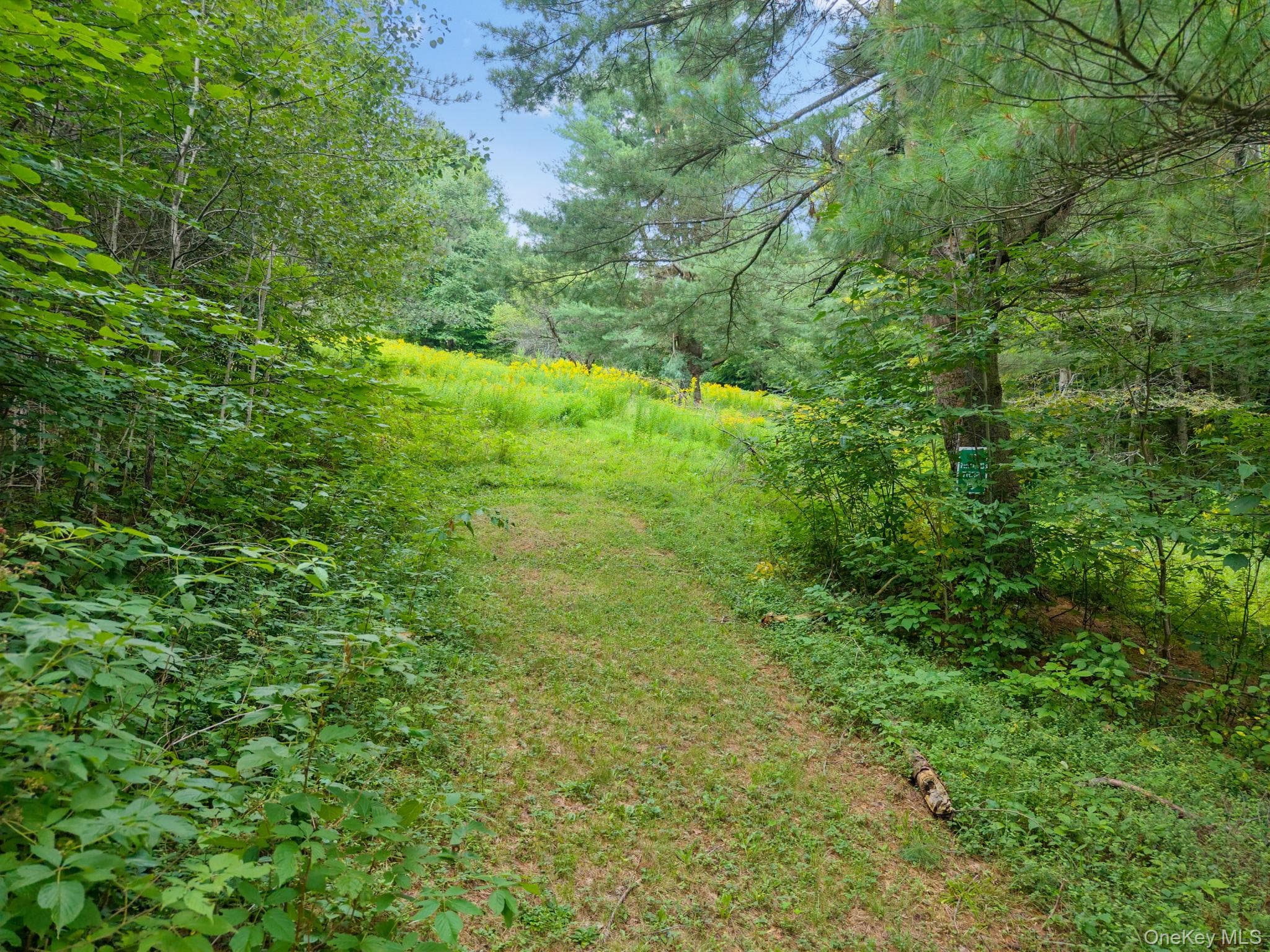 5206 Town Brook Road thumbnail 35