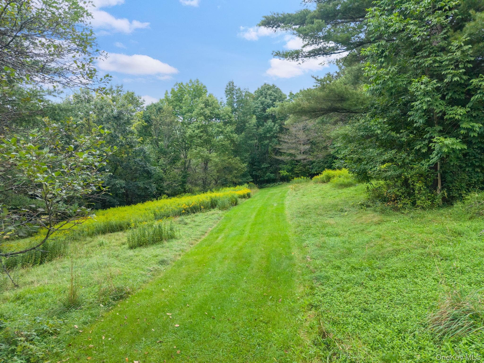 5206 Town Brook Road thumbnail 39