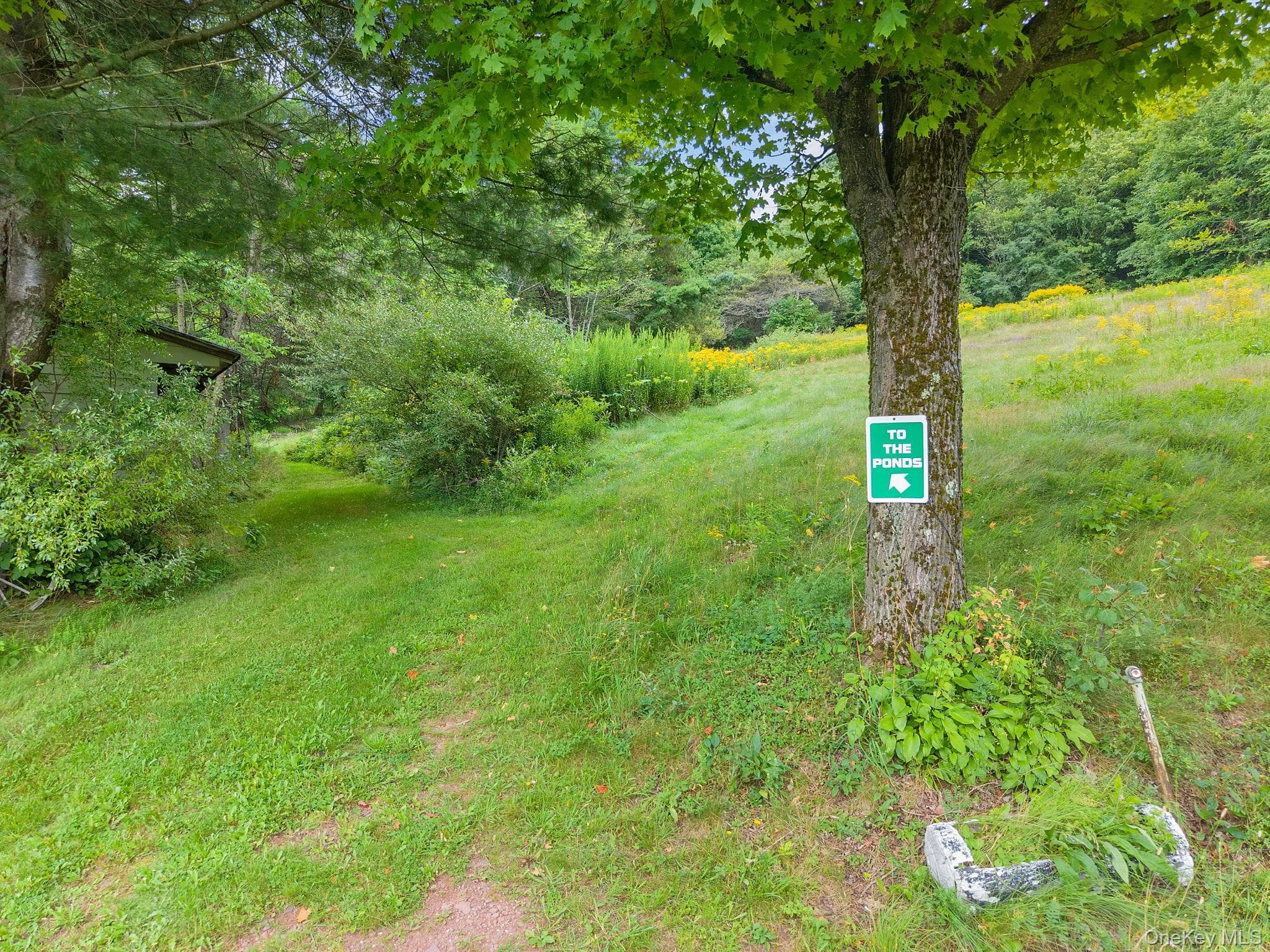 5206 Town Brook Road thumbnail 36
