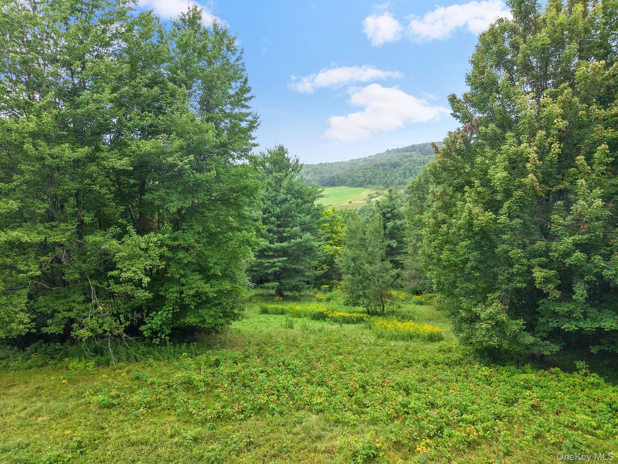 5206 Town Brook Road thumbnail 46