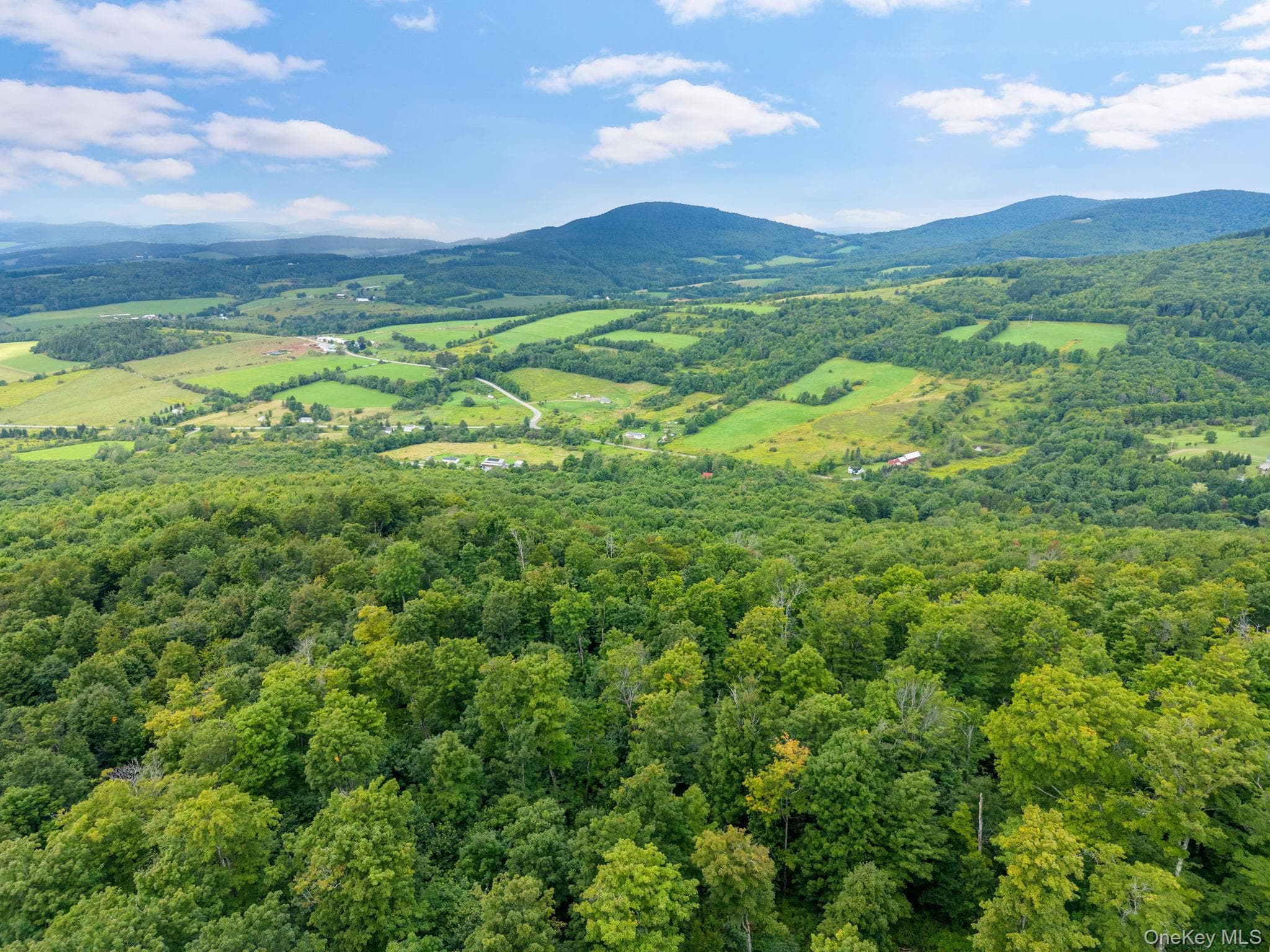 5206 Town Brook Road thumbnail 43