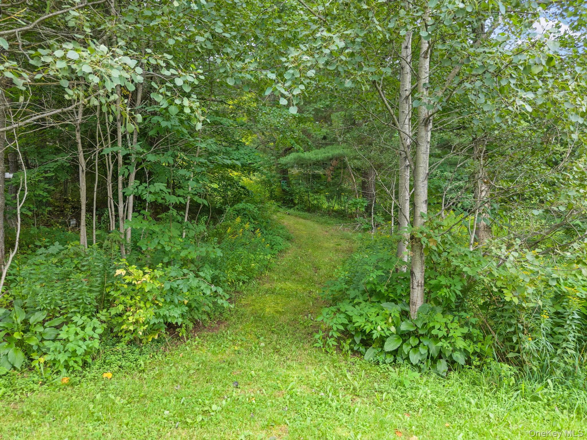 5206 Town Brook Road thumbnail 34