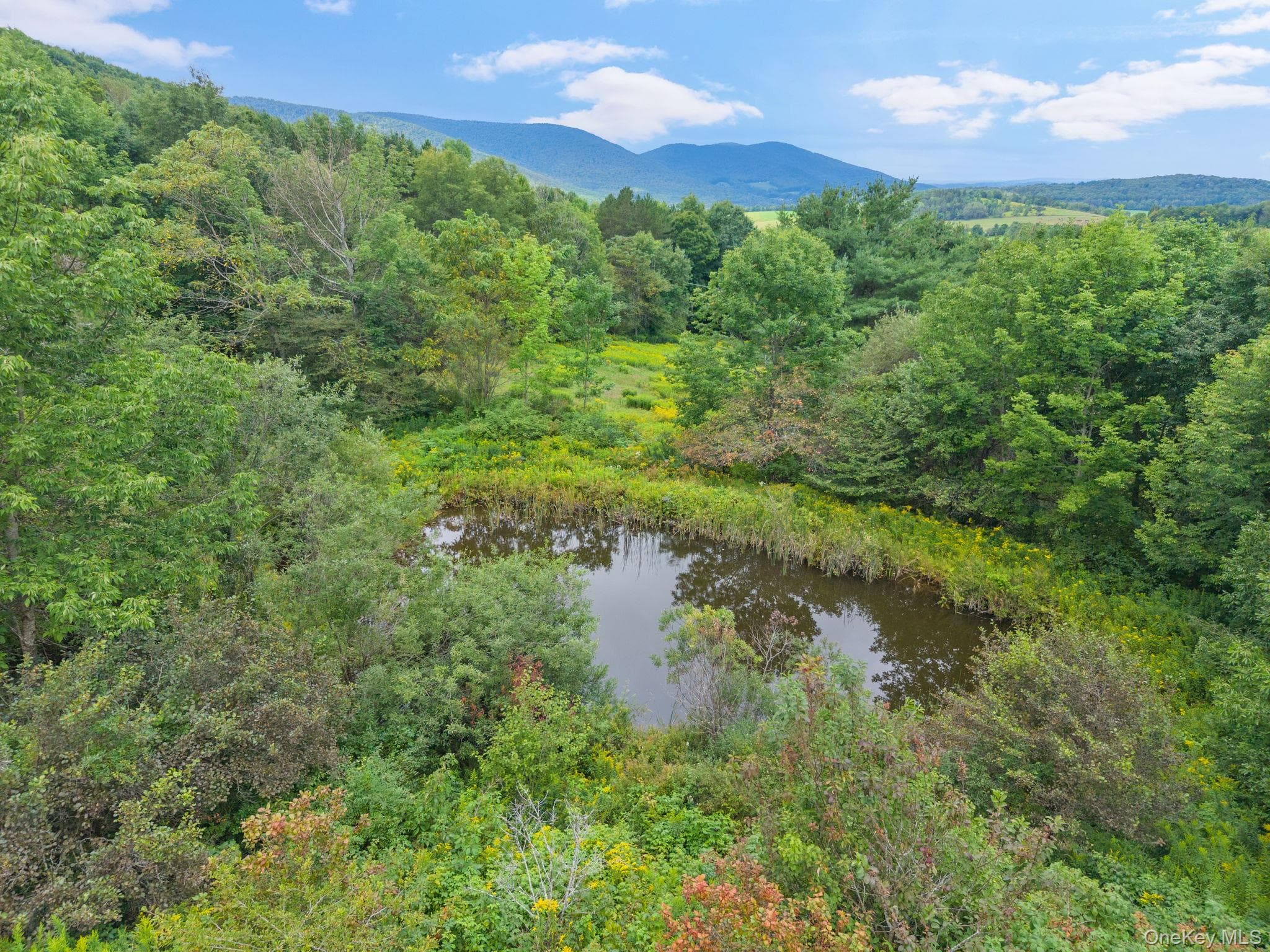 5206 Town Brook Road thumbnail 41