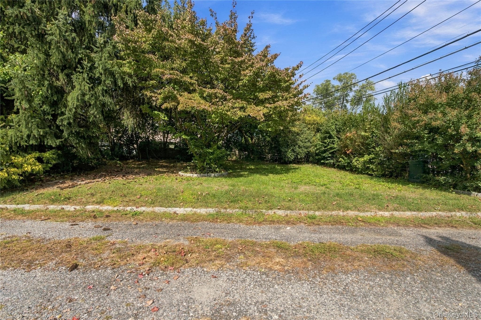 129 Winthrop Avenue thumbnail 22