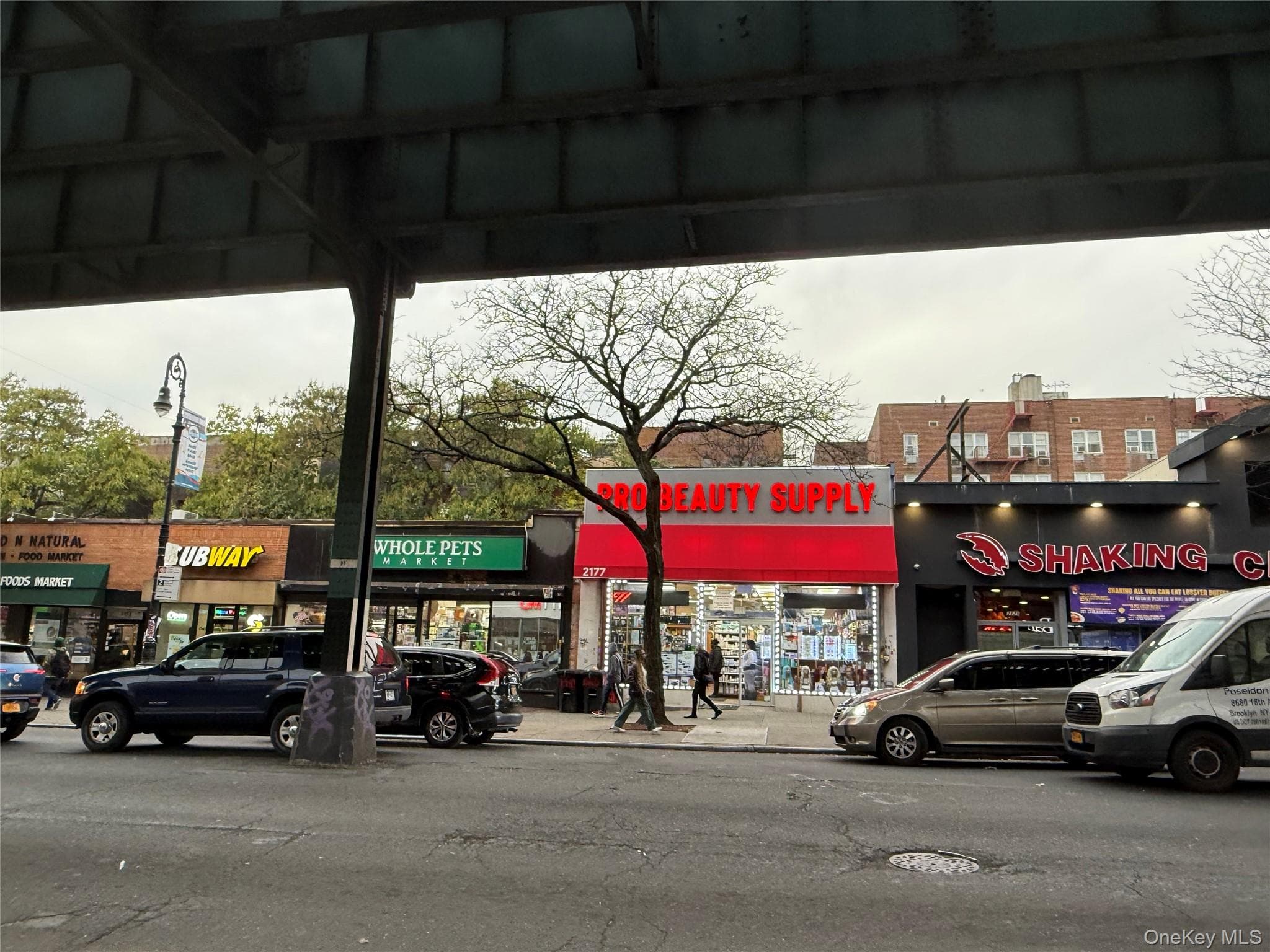 741 Lydig Avenue thumbnail 23