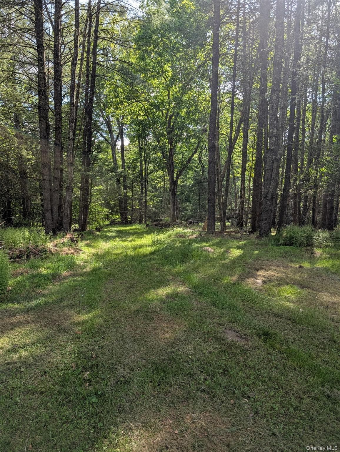 807 Beaver Brook Road thumbnail 25