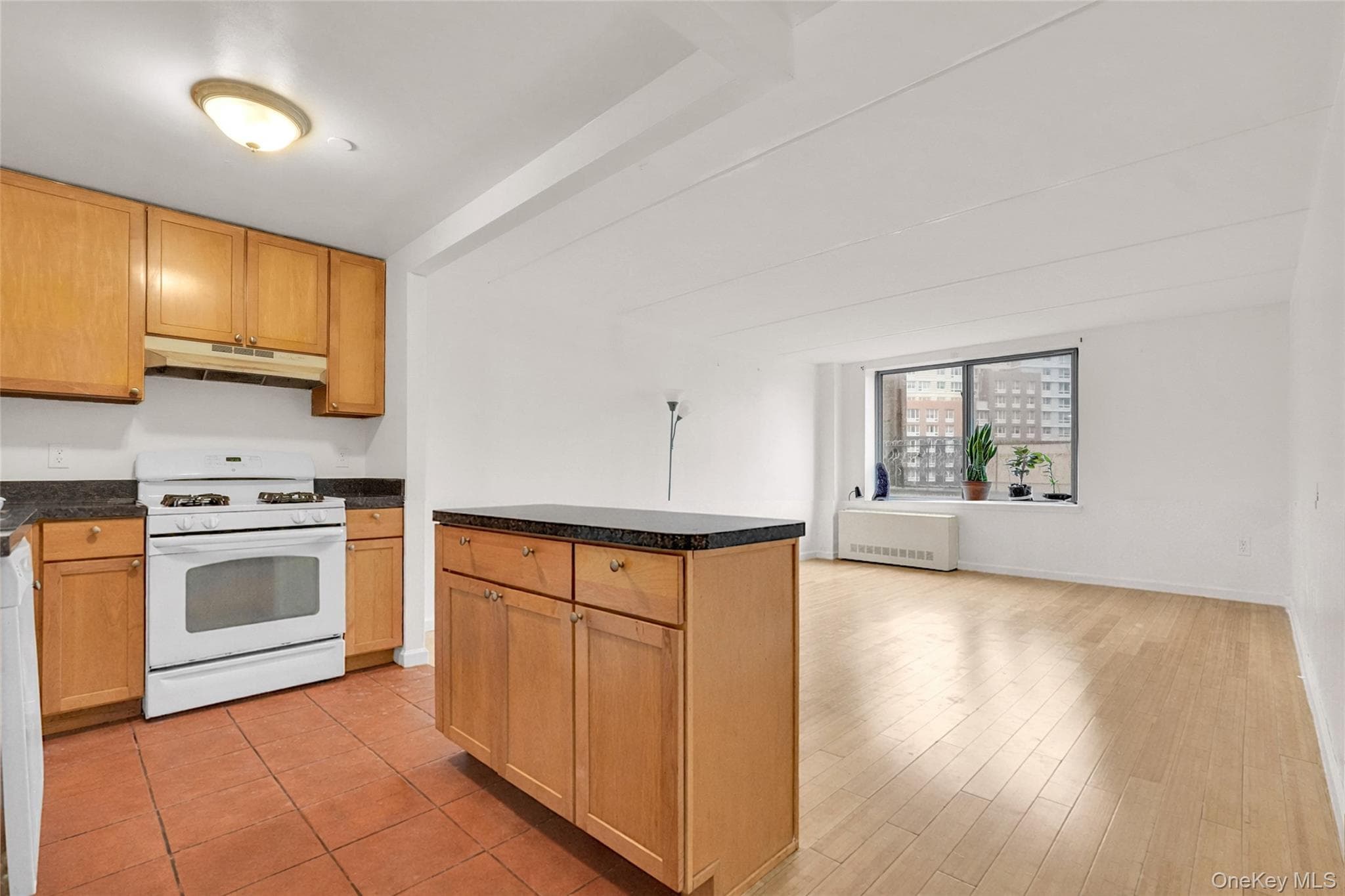 837 Washington Avenue Unit: 4B thumbnail 4