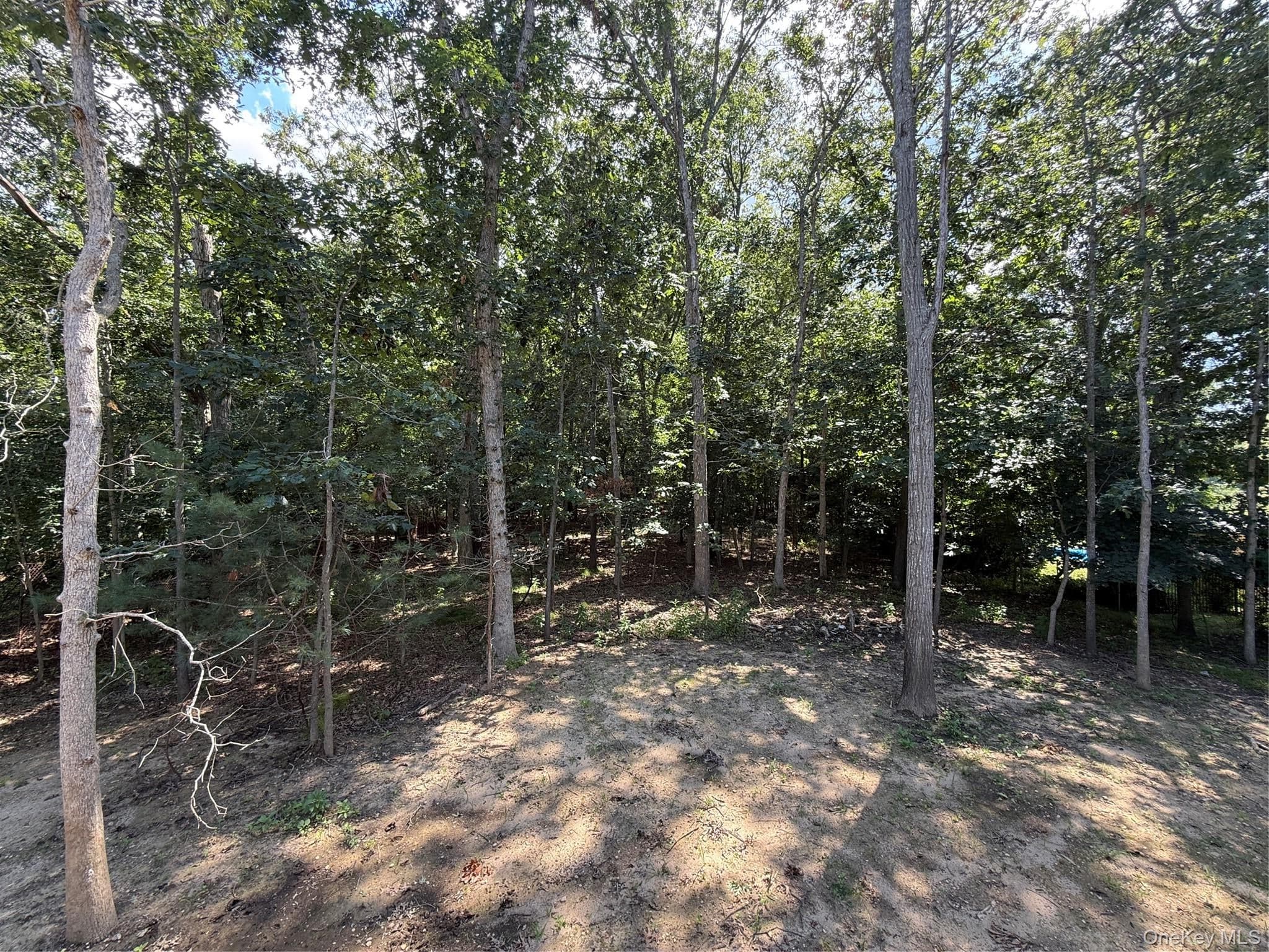 6 Scout Trail thumbnail 3