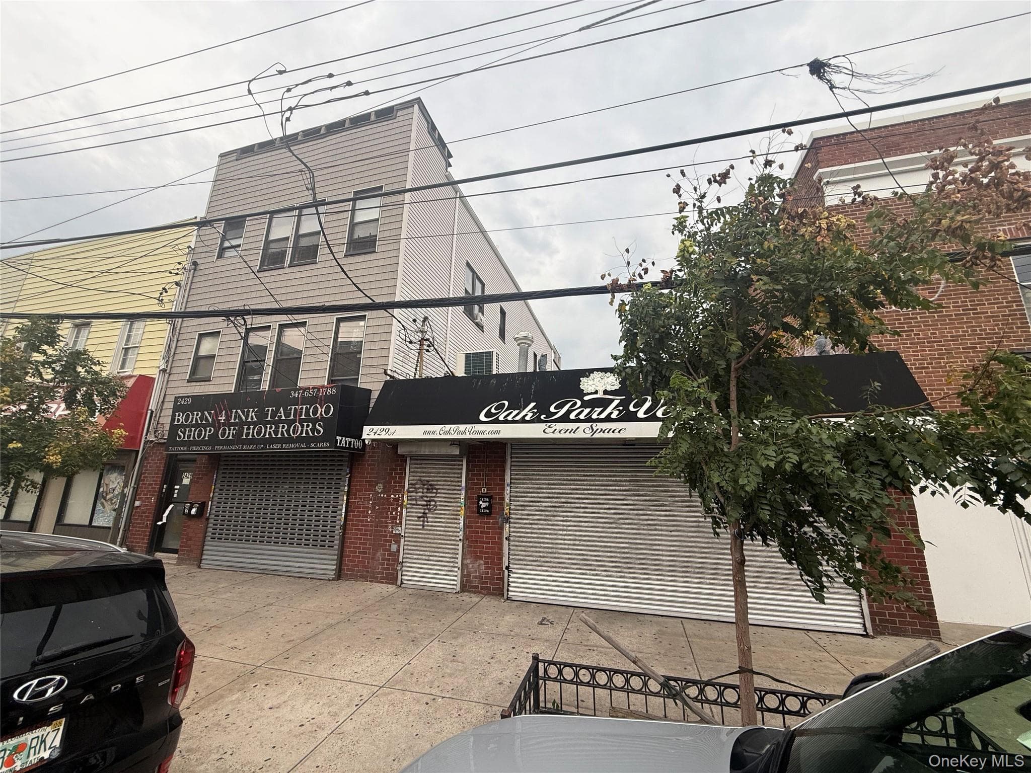 2429A E Tremont Avenue thumbnail 2