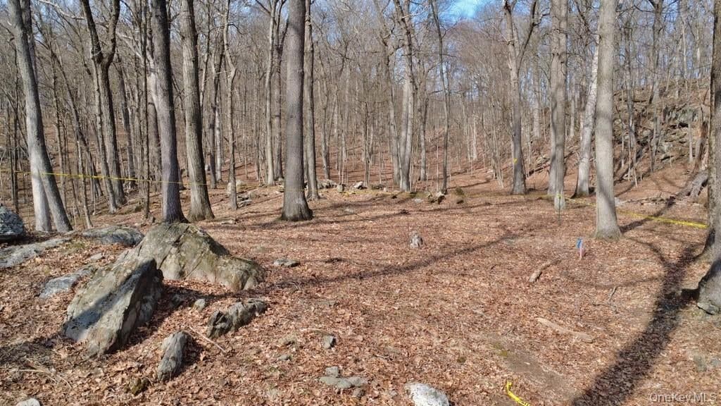 517A Old Chappaqua Road thumbnail 20