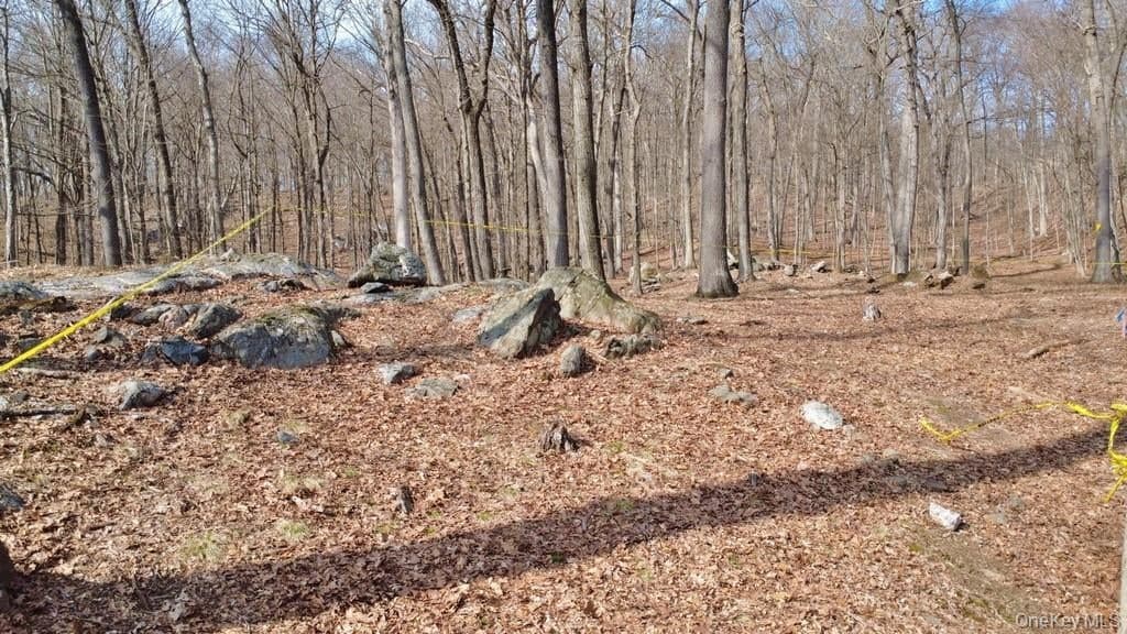 517A Old Chappaqua Road thumbnail 19