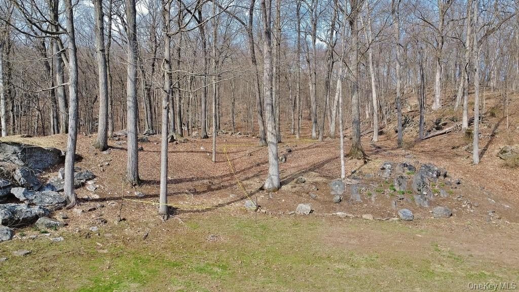 517A Old Chappaqua Road thumbnail 18