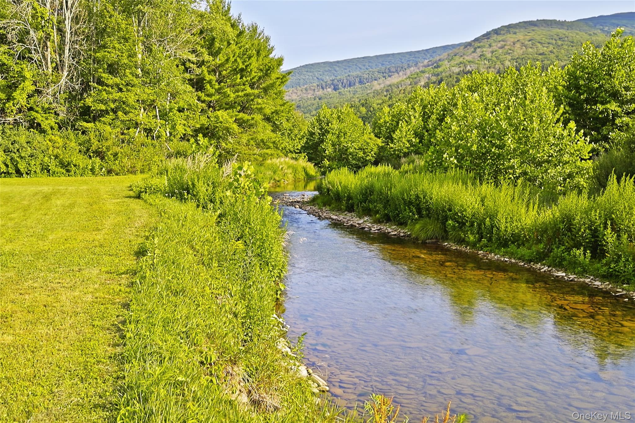 390 Erpf Road thumbnail 43