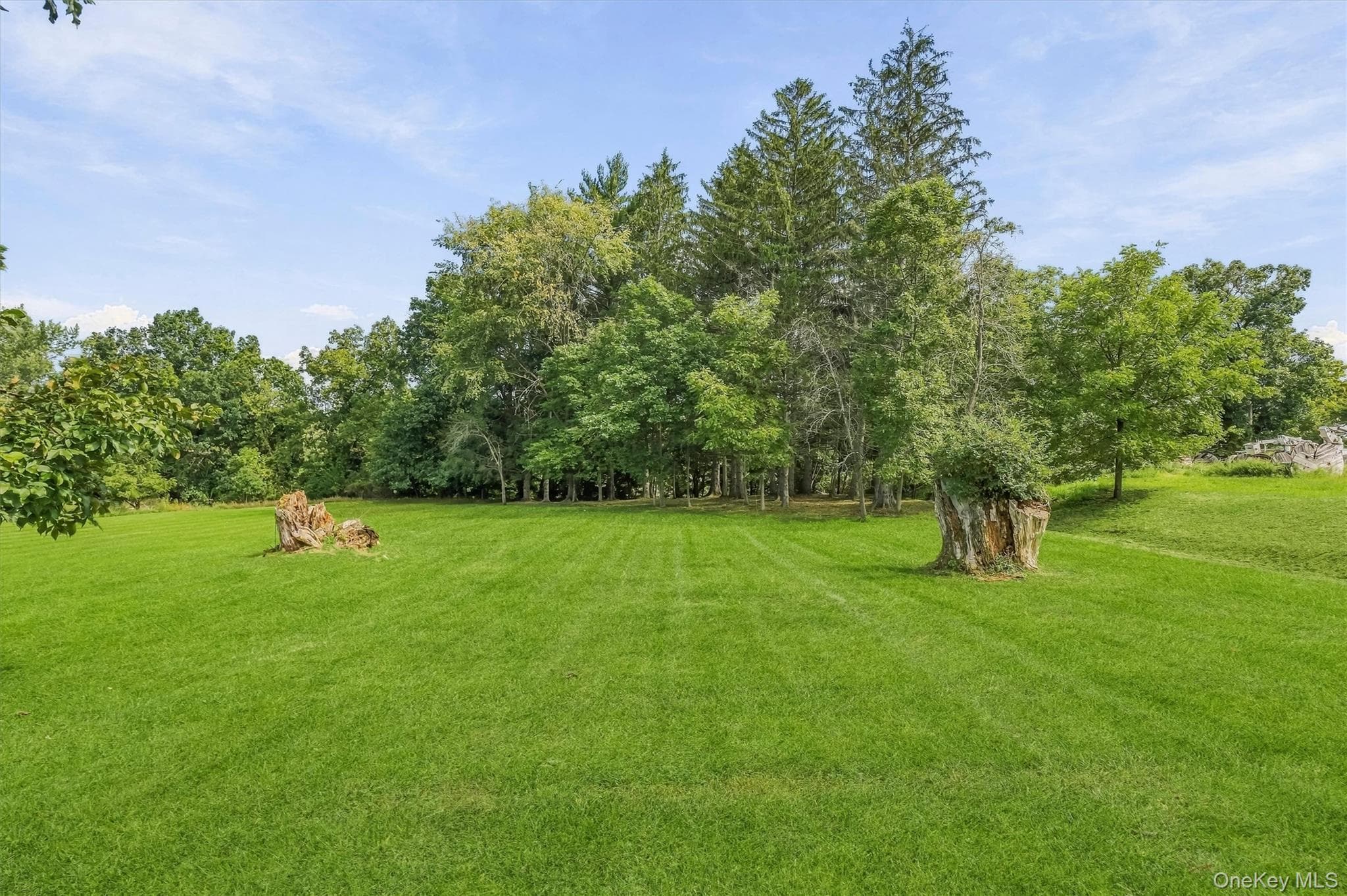 112 Lippincott Road thumbnail 40