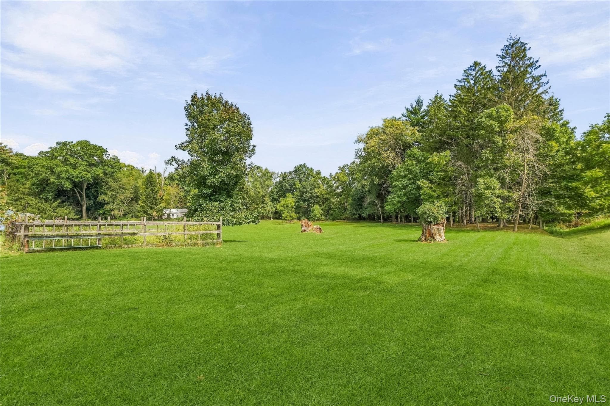 112 Lippincott Road thumbnail 39
