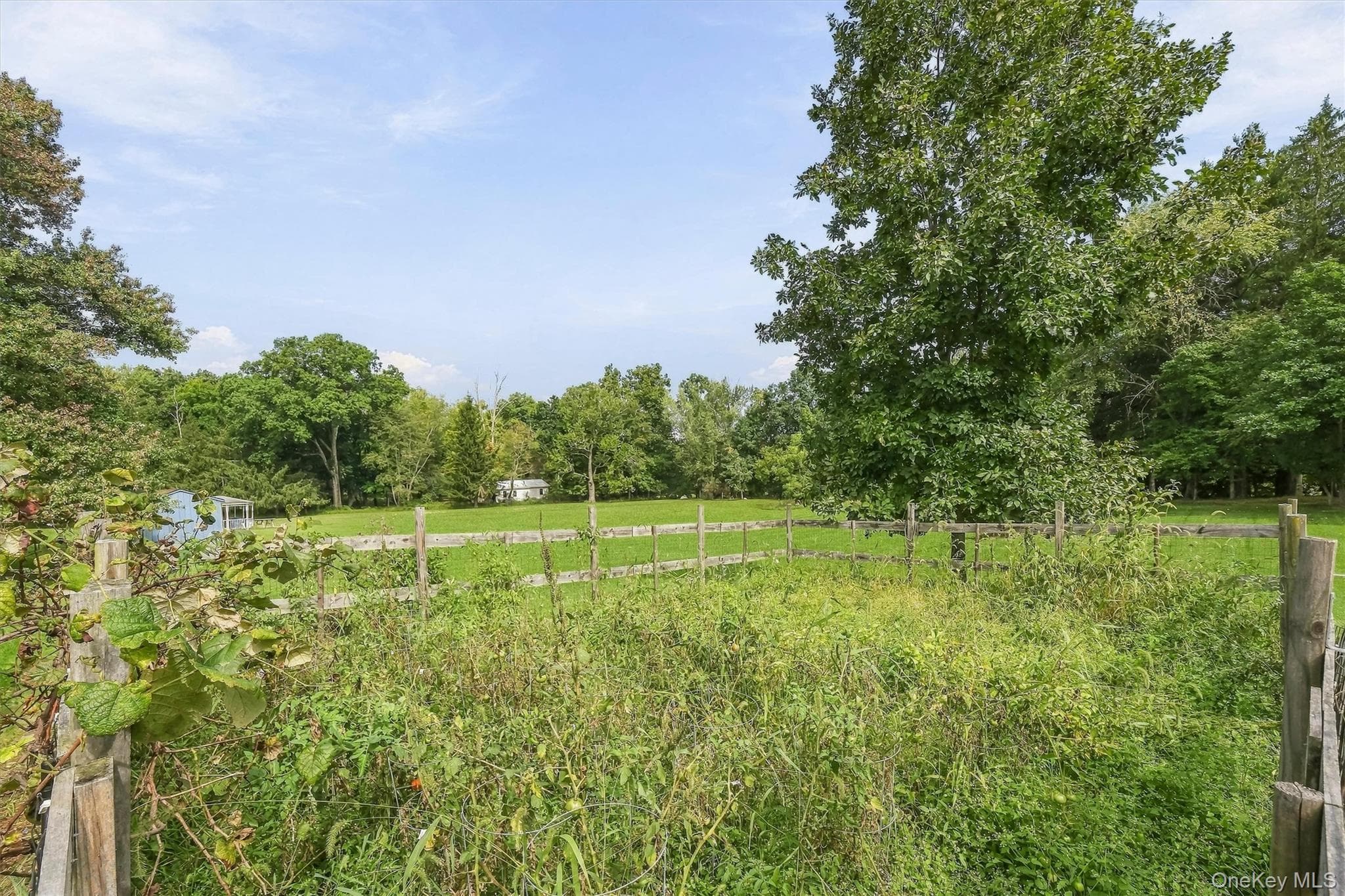 112 Lippincott Road thumbnail 42