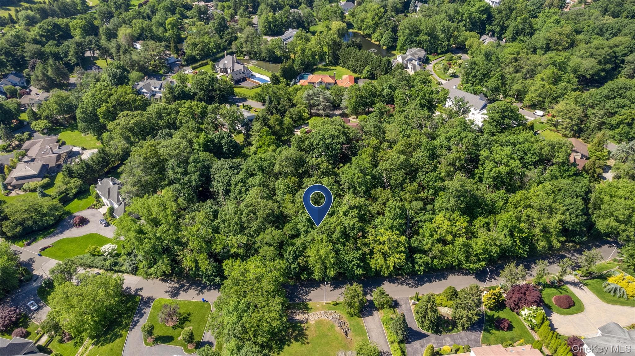 20 Mt. Holly DR photo 1