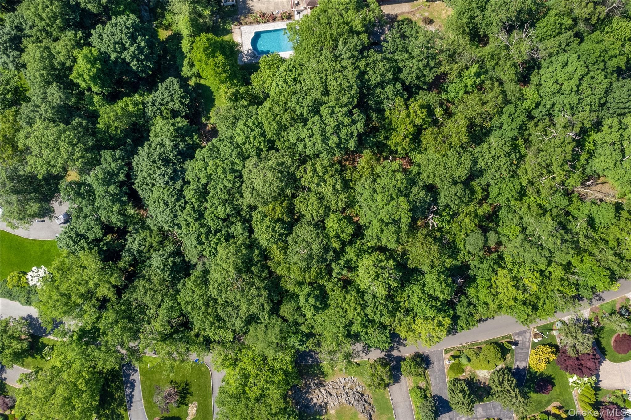 20 Mt. Holly DR thumbnail 5