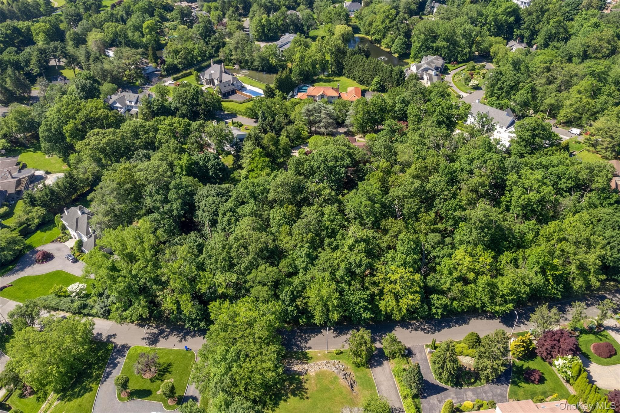 20 Mt. Holly DR thumbnail 2