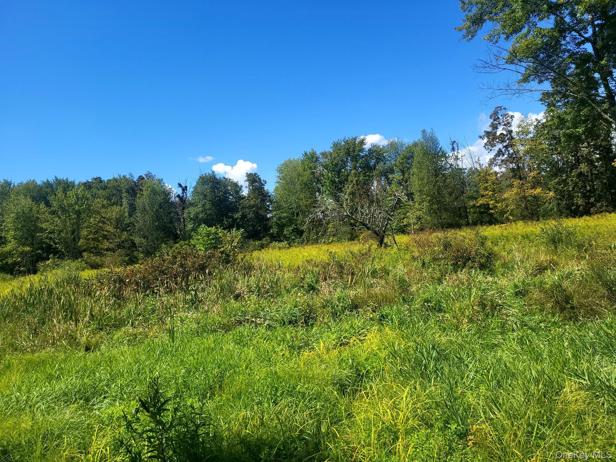 328 Bloomingburg Road thumbnail 10