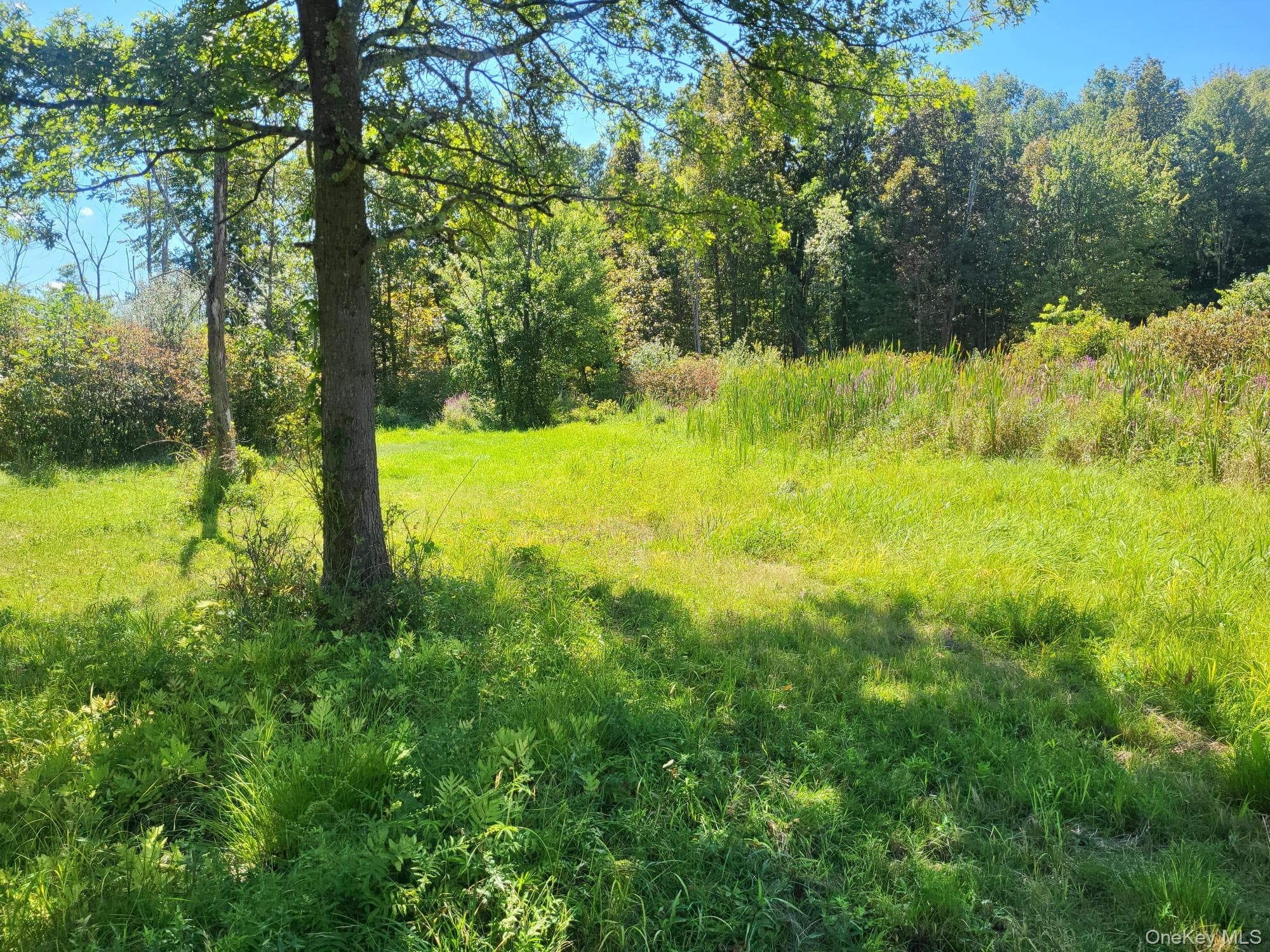 328 Bloomingburg Road thumbnail 9