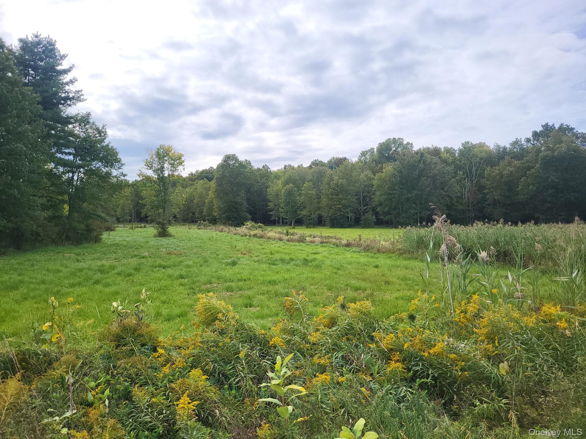 328 Bloomingburg Road thumbnail 5