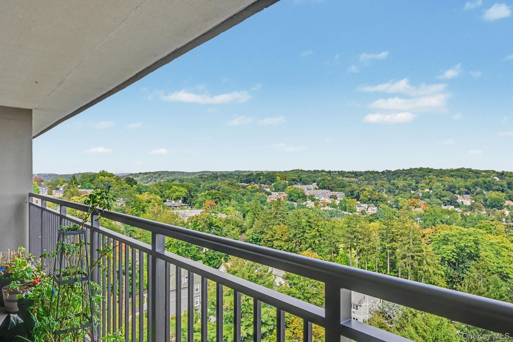 15 Stewart Place Unit: 12A thumbnail 15