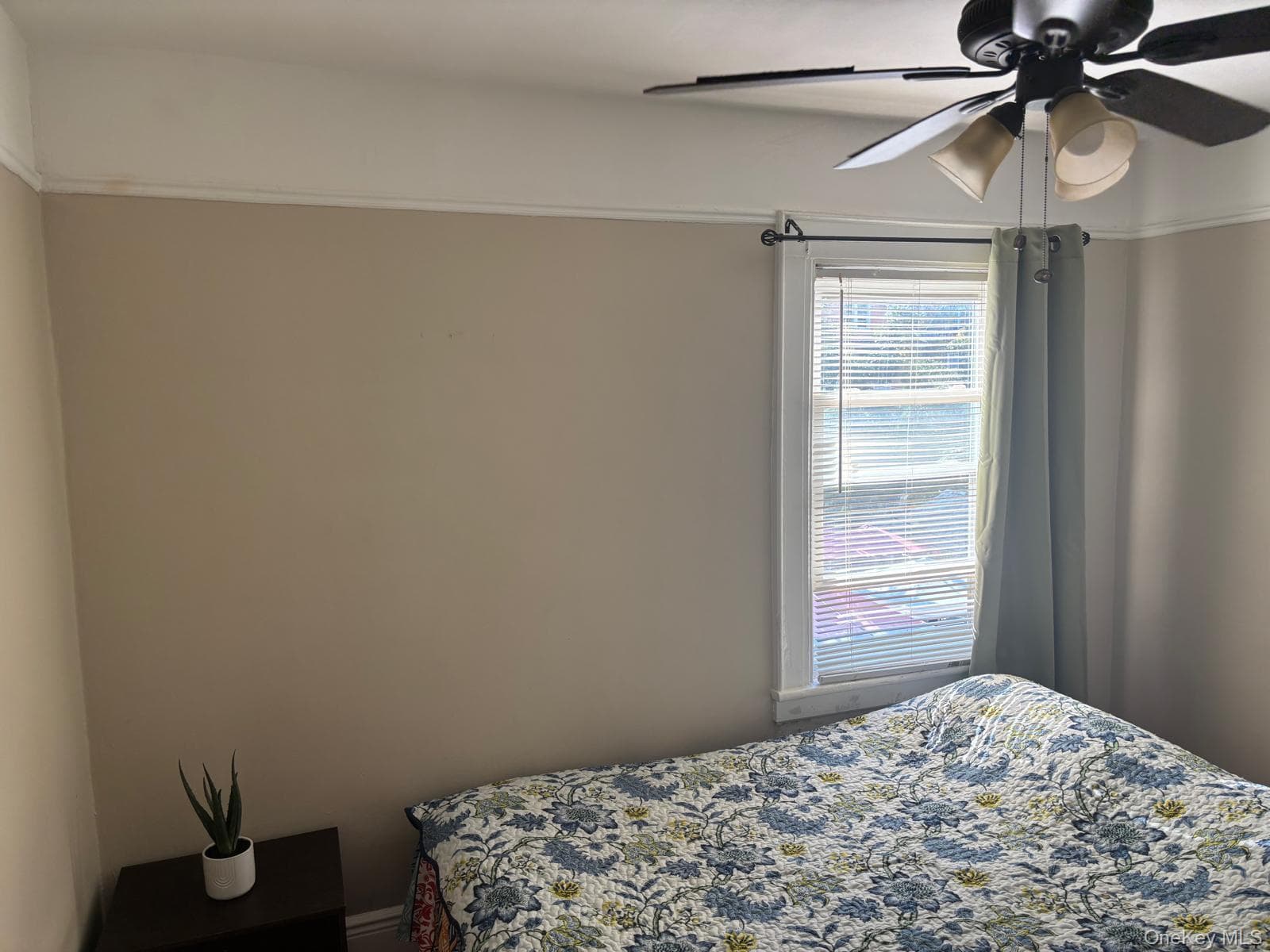 121-13 Hillside Avenue thumbnail 17