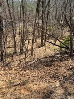 14 Old Country Road thumbnail 6