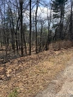14 Old Country Road thumbnail 2