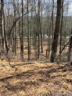 14 Old Country Road thumbnail 5