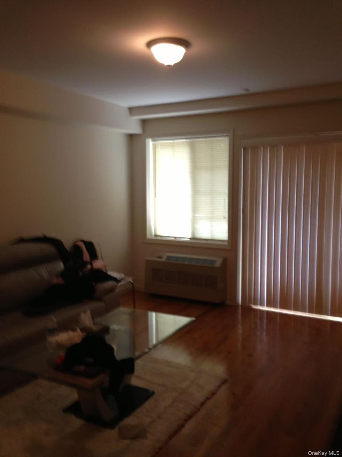 4207 Kissena Boulevard thumbnail 5