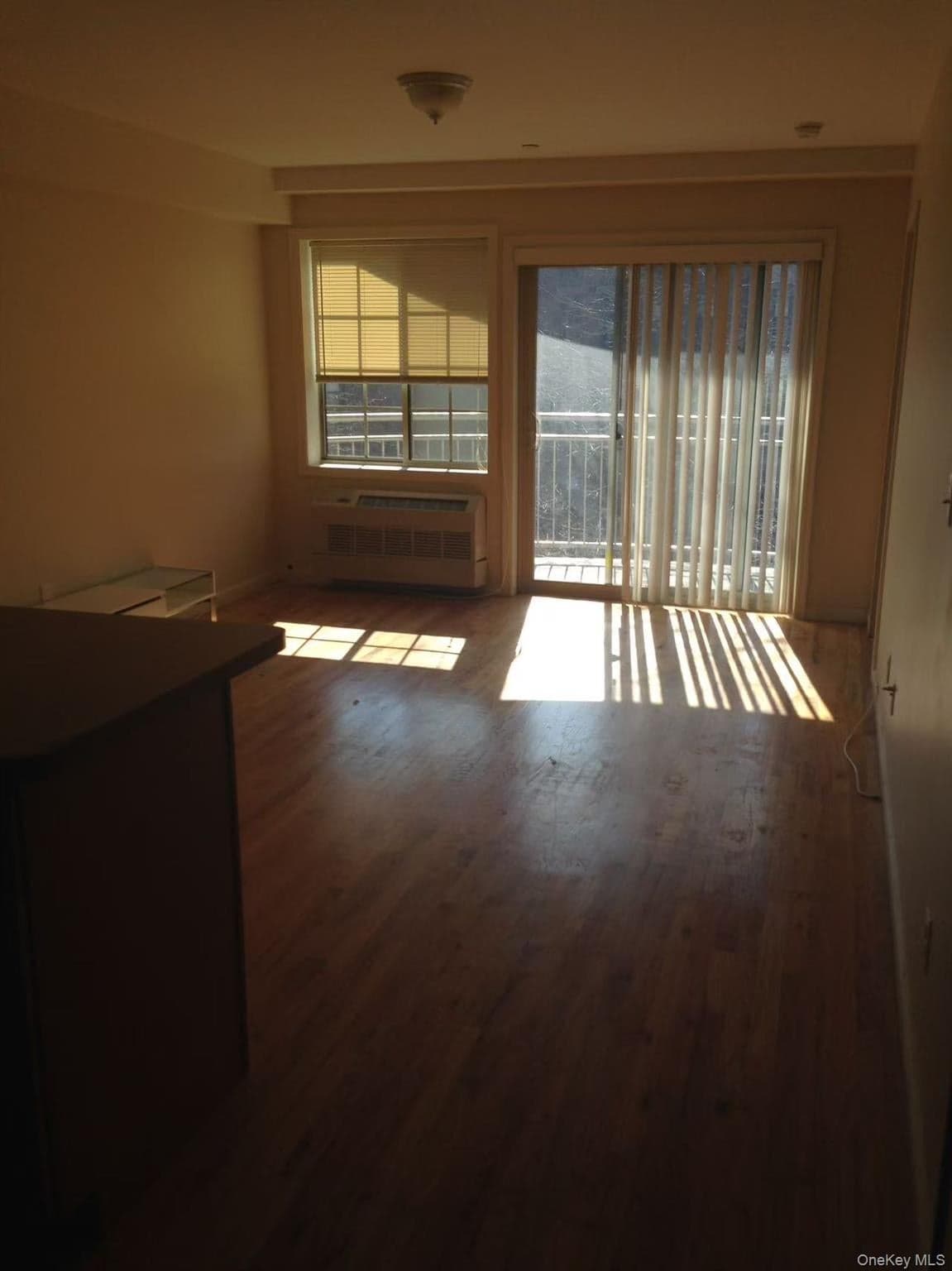4207 Kissena Boulevard thumbnail 10