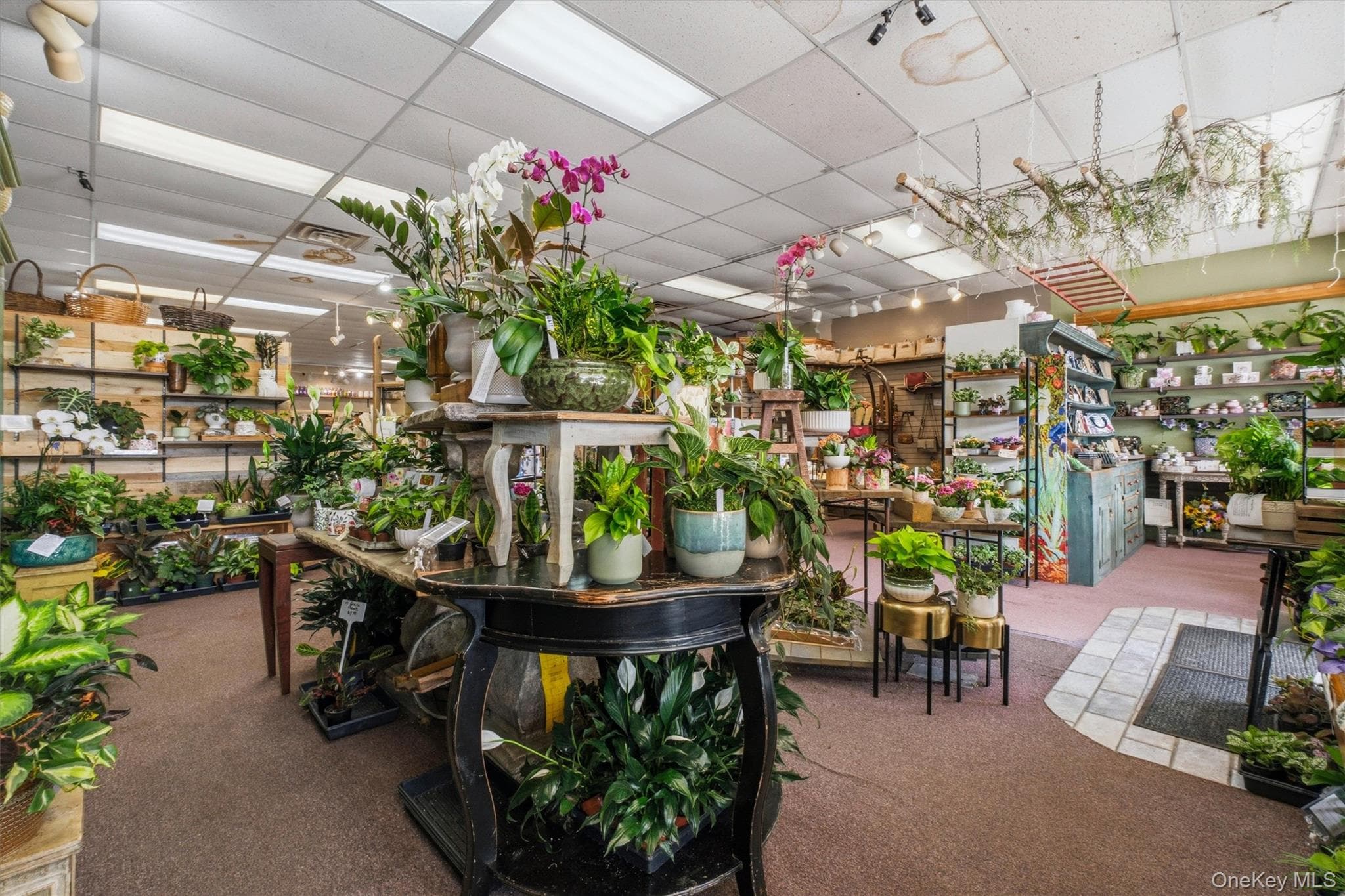 1908 Route 6 thumbnail 12