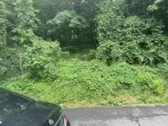 45 Chatham Terrace, Yonkers