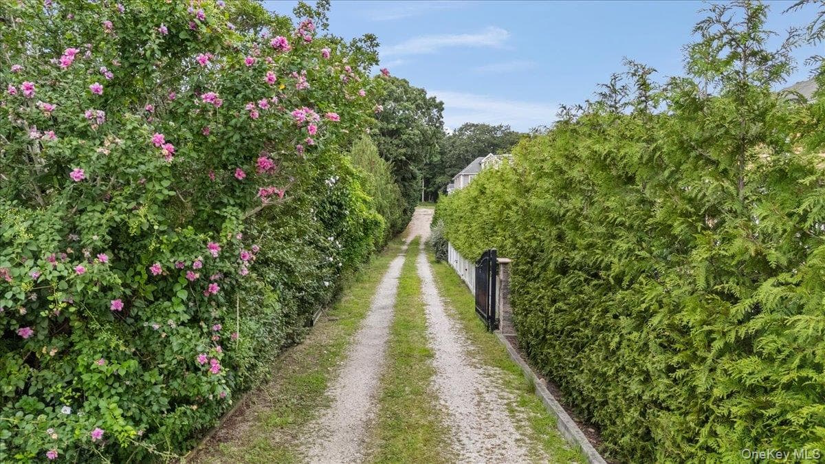 33A Newtown Road thumbnail 50