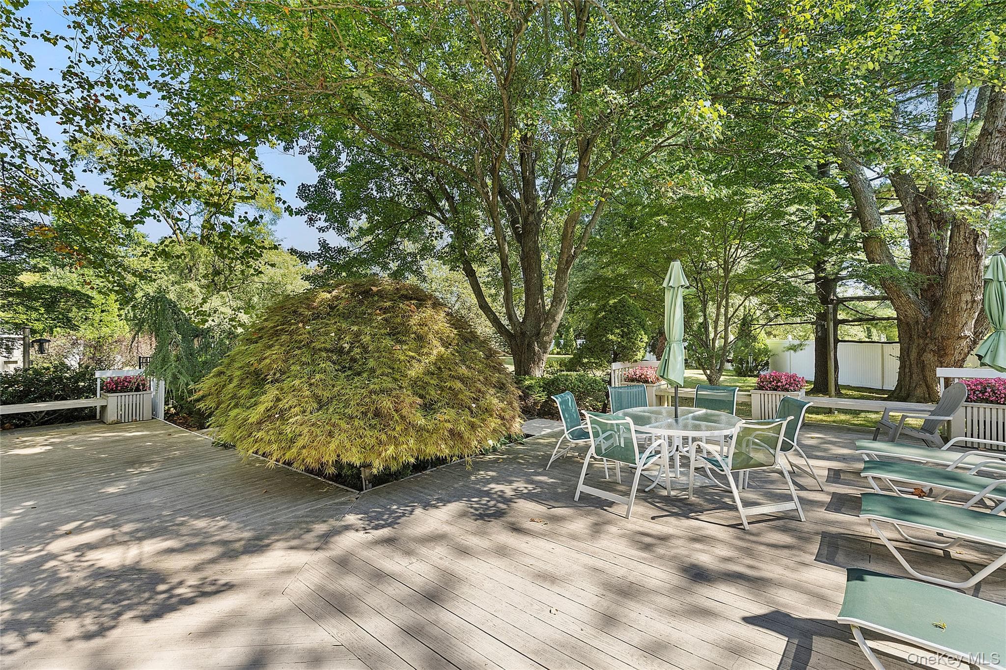 54 Dix Woods Drive thumbnail 18