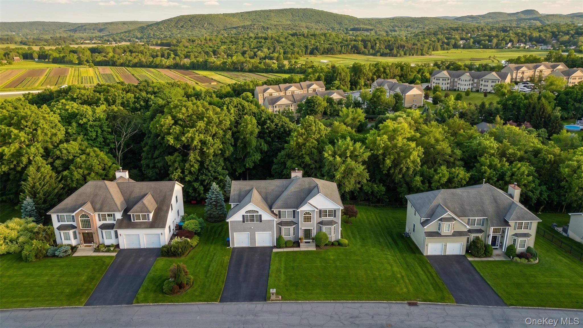 19 Grand View Terrace thumbnail 5